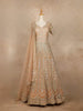 Light Brown Sequined Bridal Reception Gown & Dupatta