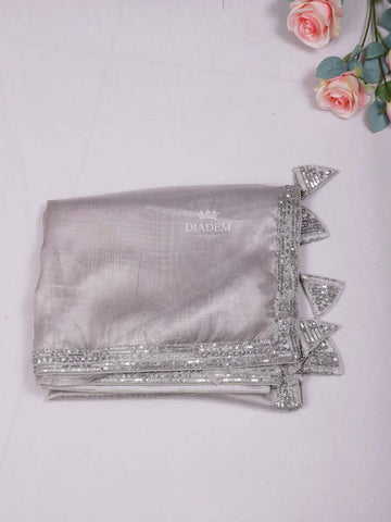 Ash Grey Tissue Organza Saree with body and Embroidery Border Paired with Designer Blouse - Diadem