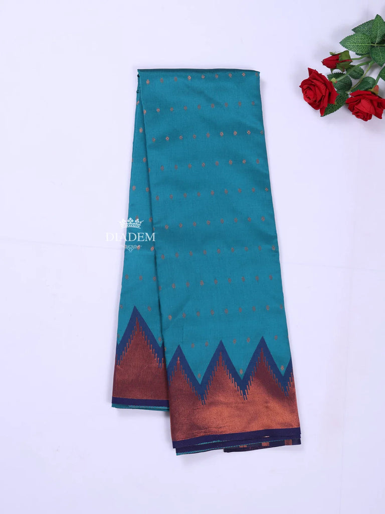 Saree_56176_2