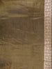 Light Brown Banarasi Saree with Floral Design on the Body with Designed Border