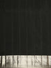 Antique Bronze Brown Geometric Zari Woven Design Pure Kanchipuram Silk Saree with Zari Border