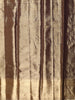 Antique Bronze Striped Floral Zari Woven Design Pure Tissue Silk Saree with Zari Border