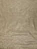 Antique Geometric Floral Vine Zari Woven Design Pure Tussar Saree with Thread Work Border