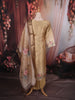 Antique Gold Beige Floral Thread Embroidered Design Tissue Straight Cut Salwar Suit