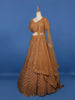 Antique Gold Geometric Embroidered Design Net Bridal Lehenga