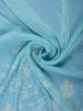 Aqua Blue Embroidered Sequin Organza Saree - Diadem