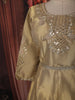 Ash Grey and Champagne Gold Sequins and Beads Embroidered Design Tissue Silk Gown with Contrast Stripes Dupatta