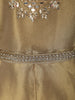 Ash Grey and Champagne Gold Sequins and Beads Embroidered Design Tissue Silk Gown with Contrast Stripes Dupatta