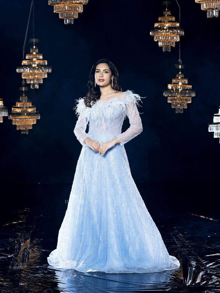 Sky Blue Net Gown with Pearls, Beads and Feathers - Diadem