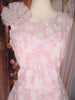 Baby Pink Floral Embroidered Design Net Gown with Ruffle Dupatta