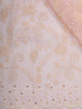 Baby Pink Floral Vine Embroidered Design Chiffon Fancy Saree with Scalloped Border
