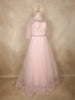 Baby Pink Sequins Embellished Design Net Gown