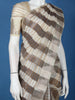 Off-White And Grey Striped Design Semi Tussar Saree
