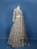 Beige Floral Embroidery Net Lehenga