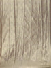 Beige Gold floral Design Tissue Saree - Diadem