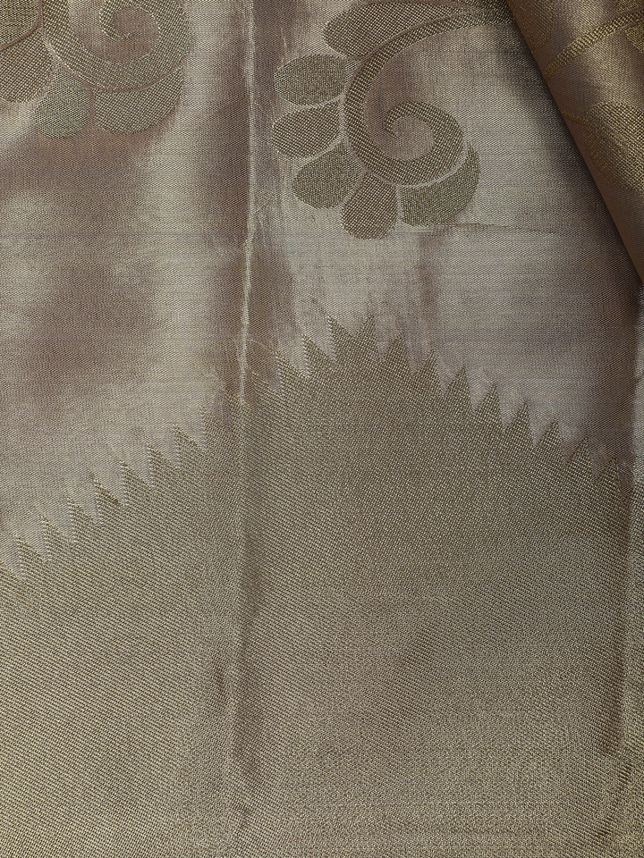 Beige Gold floral Design Tissue Saree - Diadem