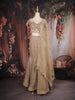 Beige Heavy Sequins and Beads Embroidered Design Mermaid Net Lehenga With Dupatta