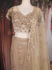 Beige Heavy Sequins and Beads Embroidered Design Mermaid Net Lehenga With Dupatta