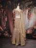 Beige Heavy Sequins and Beads Embroidered Design Mermaid Net Lehenga With Dupatta