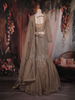 Beige Heavy Sequins and Beads Embroidered Design Net Mermaid Lehenga With Dupatta