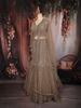 Beige Heavy Sequins and Beads Embroidered Design Net Mermaid Lehenga With Dupatta