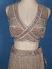 Beige Sequins Embroidered Mermaid Net Lehenga With Dupatta