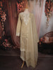 Beige Striped Embroidered Design Silk Straight Cut Salwar Suit with Dupatta