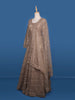 Beige Floral Embroidery Net Bridal Pakistani Lehenga