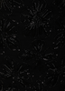 Black Embroidery Georgette Palazzo Suit