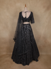 Black Sequins Embroidered Design Net Lehenga