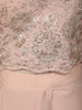 Blush Nude Pink Floral Zari Embroidered Design Georgette Skirt Top