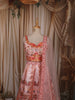 Blush Peach Floral Printed and Stone Embellished Design Tussar Silk Fancy Lehenga with Matching Dupatta