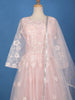 Blush Pink Floral Embroidered Design Net Gown
