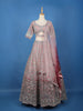 Blush Pink Floral Embroidered Net Lehenga for Brides - Diadem