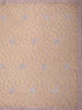 Blush Pink Floral Thread Embroidered Design Net Designer Saree with Designer Border