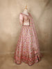 Blush Pink Floral and Geometric Sequins Embroidered Banarasi Silk Lehenga Set