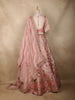 Blush Pink Floral and Geometric Sequins Embroidered Banarasi Silk Lehenga Set