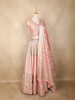 Blush Pink Mirror Work Banarasi Silk Lehenga Set with Dupatta