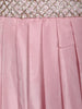 Blush Pink Mirror with Sequin Embellishments Georgette Skirt Top - Diadem