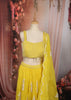 Bright Lemon Yellow Vertical Striped Beads Embroidered Design Organza Haldi Lehenga with Matching Dupatta