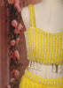 Bright Lemon Yellow Vertical Striped Beads Embroidered Design Organza Haldi Lehenga with Matching Dupatta