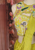 Bright Lime Green Abstract Beads Embroidered Design Organza Ready to Wear Draped Saree with Matching Designer Blouse