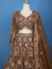 Brown Floral Sequin And Thread Embroidered Net Lehenga Set With Dupatta