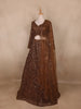 Brown Sequins Embroidered Net Lehenga Set With Dupatta - Diadem