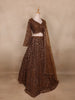 Brown Sequins Embroidered Net Lehenga Set With Dupatta - Diadem