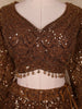 Brown Sequins Embroidered Net Lehenga Set With Dupatta - Diadem