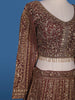 Brown Floral Embroidery Bridal Net Lehenga