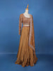 Brown Sequins Beaded Neted LehengaPaired with Dupatta