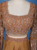 Brown Sequins Beaded Neted LehengaPaired with Dupatta
