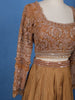 Brown Sequins Beaded Neted LehengaPaired with Dupatta